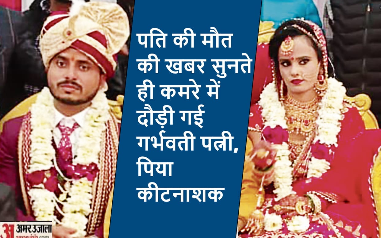 Meerut News: Pregnant wife consumes pesticide after husband death