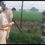 demo pic...