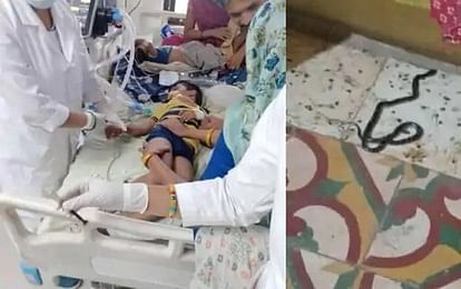 Indore: पांच साल के बच्चे को सांप ने काटा, पिता ने सांप को मारकर बेटे को सुला दिया, सुबह हो गई मौत A five-year-old child was bitten by a snake, the father killed the snake and put the son to sleep, died in th