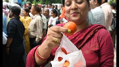 Today buy tomatoes from these 12 places for Rs 40 per kg