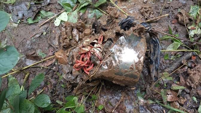 4 kg two ied recovered in Bijapur and defused by bomb disposal squad