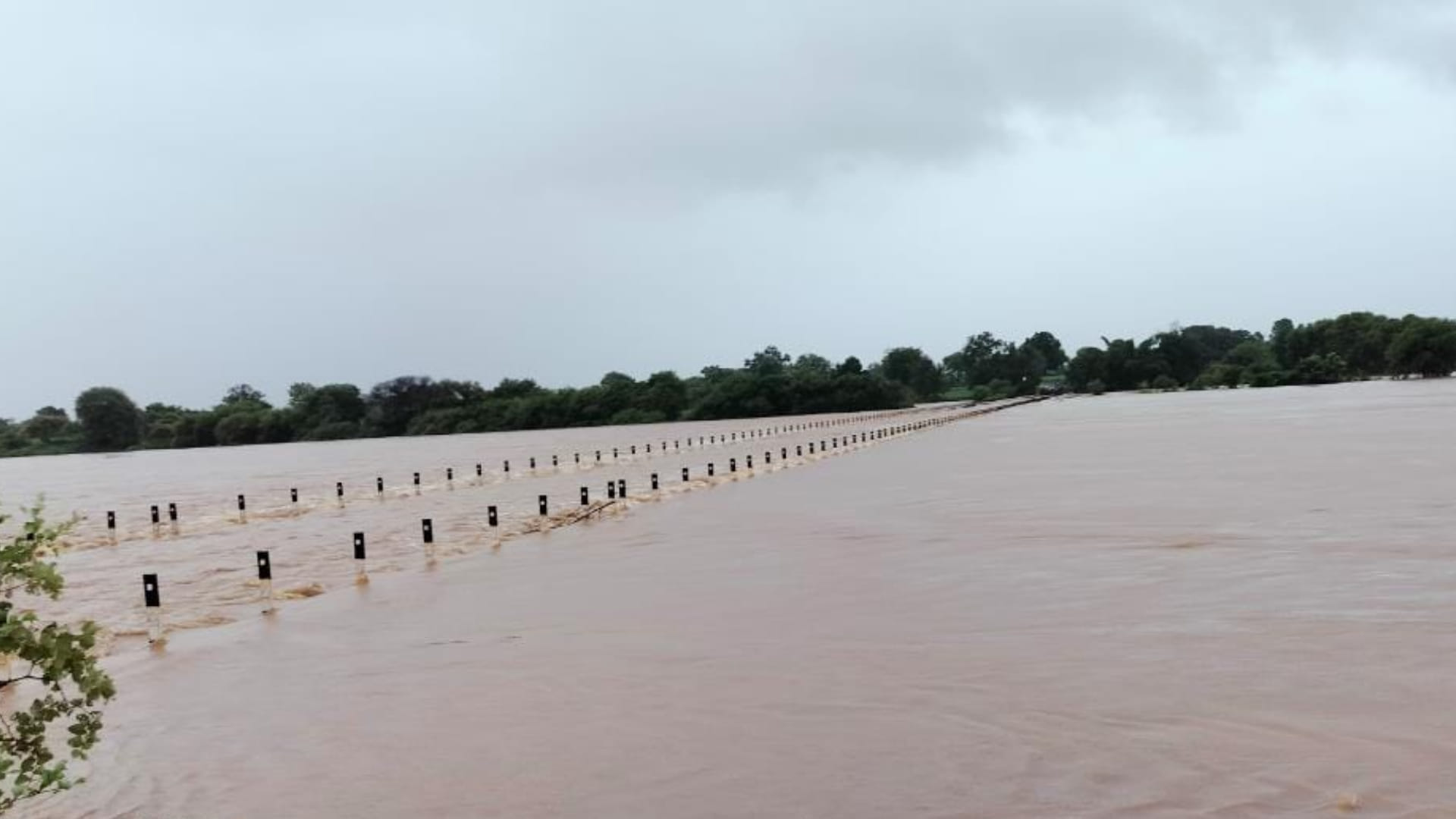 Damoh weather: Many villages submerged due to incessant rains, SDRF started rescue, Collector declared holiday