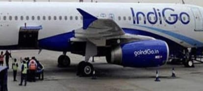 Indigo Delhi To Mumbai Flight Sandwich With Worm Served To Woman Passenger – Amar Ujala Hindi News Live