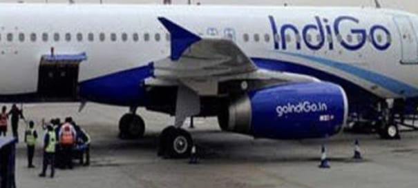 IndiGo Delhi to Mumbai flight sandwich with worm served to woman passenger