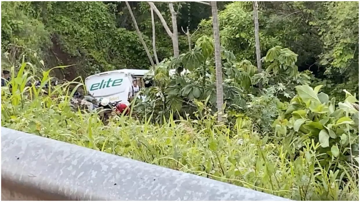 Mexico Bus Accident Today: Bus Plunges Down Ravine in Mexico, 17 Killed and Many Injured