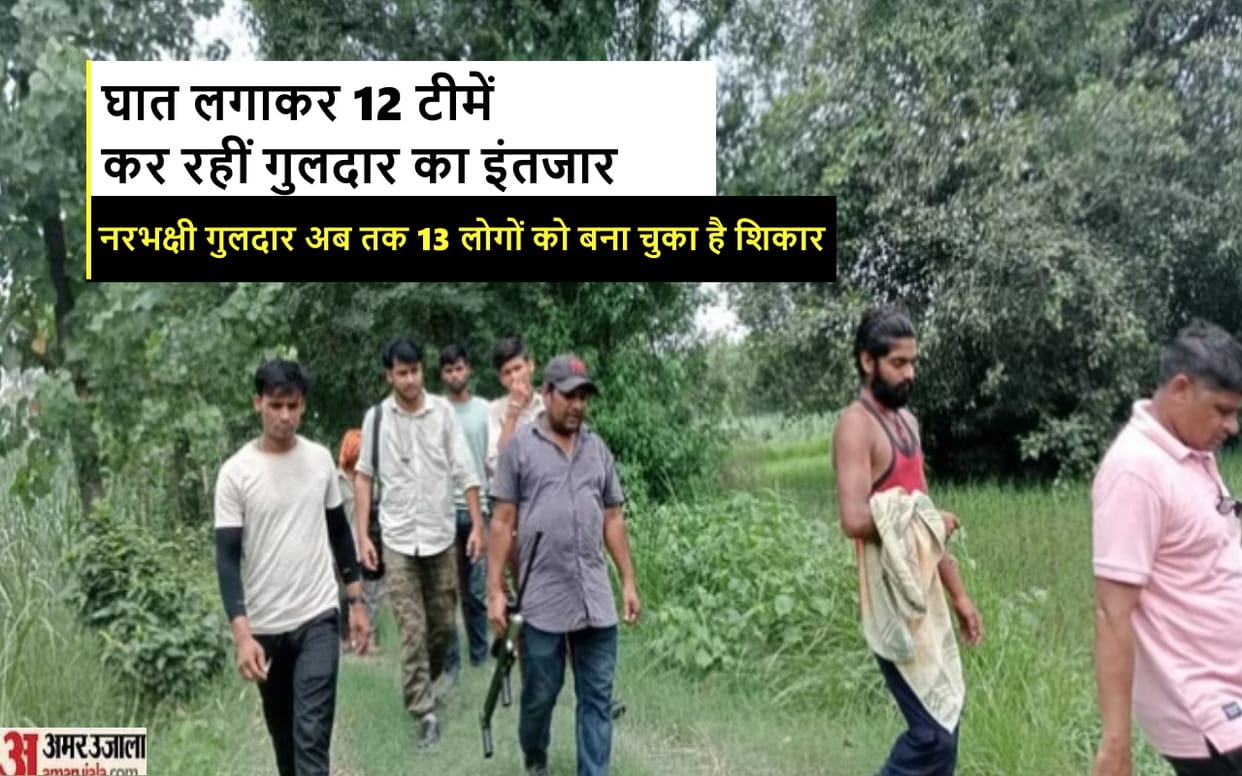 12 sensitive places, 12 teams, waiting in ambush, Principal Chief Conservator of Forests reached Bijnor