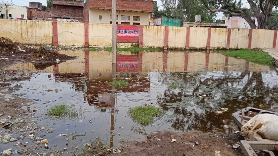 Waterlogging in Hathras mandi threatens diseases