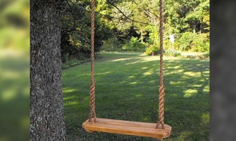 The rope of the swing became a noose in the game, the breath of the innocent student stopped, there was chaos