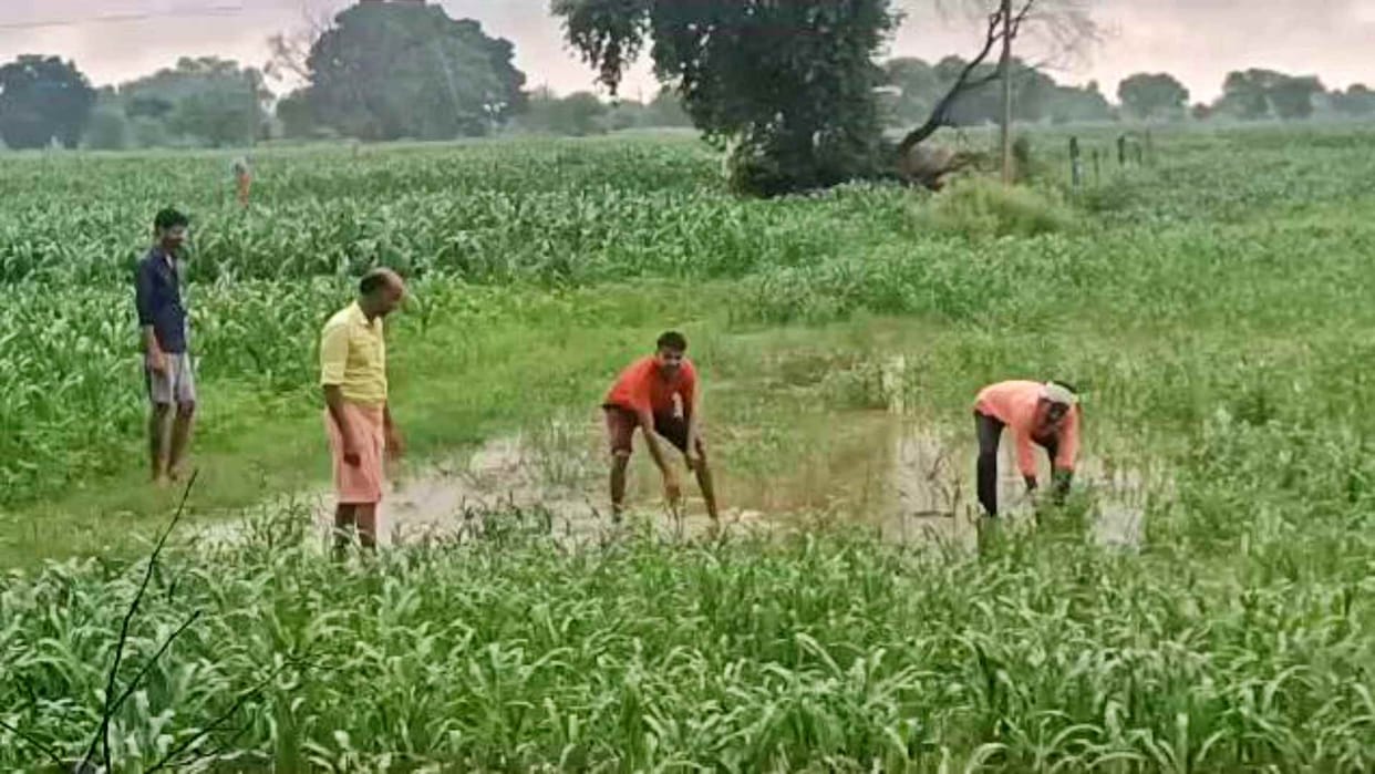 Rajasthan weather: Heavy rain continues in Dhaulpur from midnight
