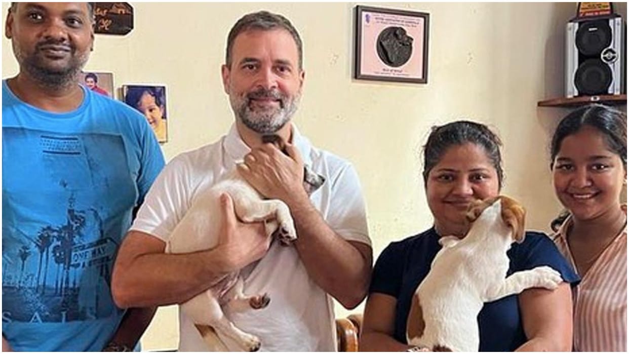 Rahul Gandhi in Goa on private visit news updates