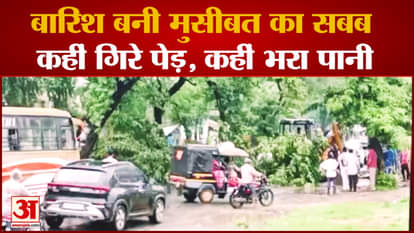 Shahdol Weather: Rain became a problem, Shahdol-Rewa main road closed due to falling trees