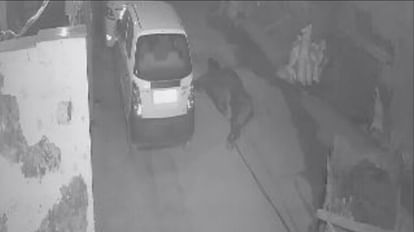 Panipat: Cow was dragged from the buggy by tying its legs, incident captured in CCTV