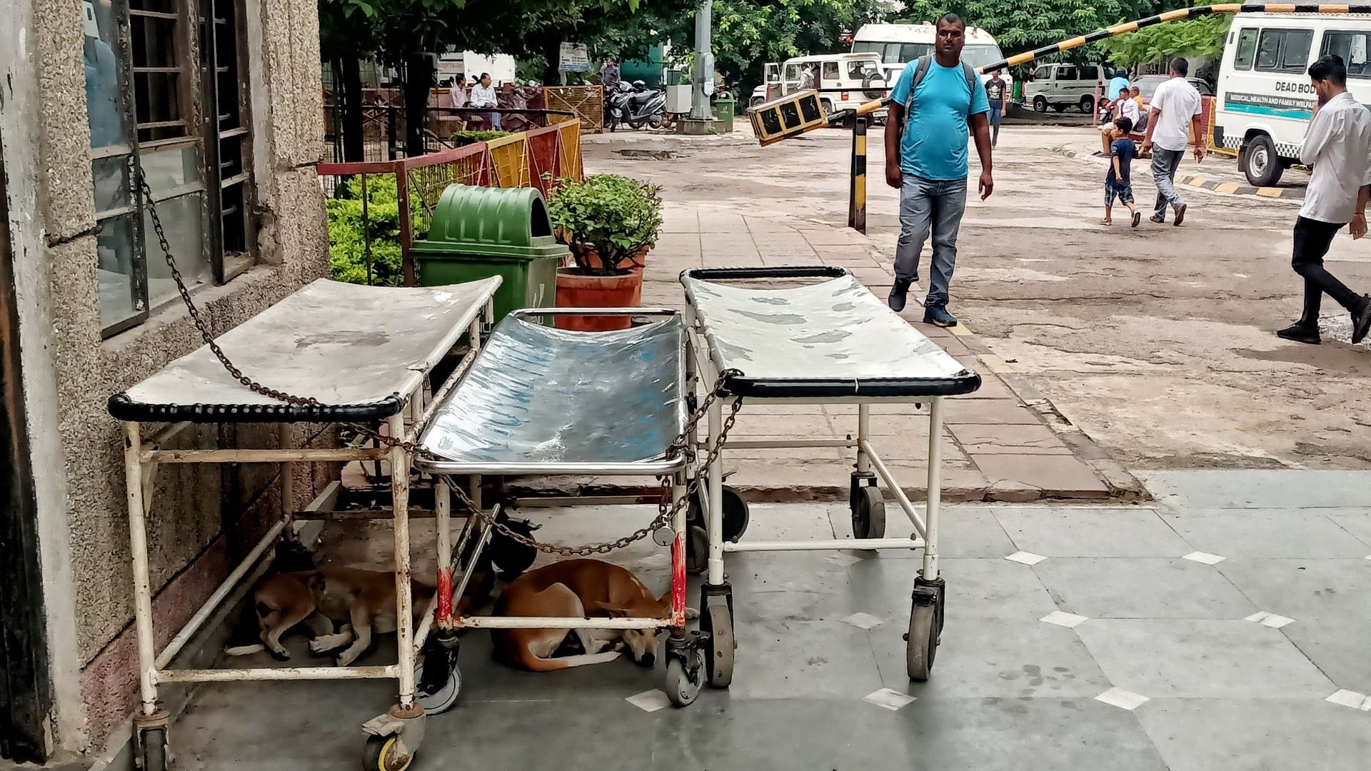 Pics that show the condition in Lohia Institute.