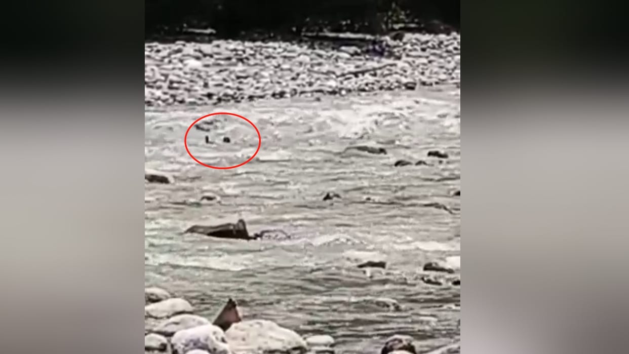 Himachal Kullu News: Youth swept away in Beas River near Patlikuhal Kullu