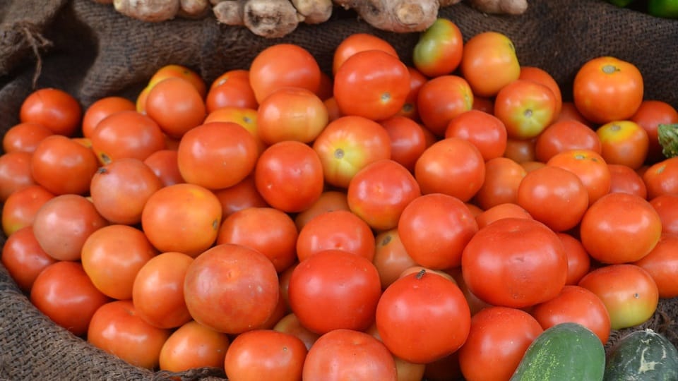 5 tons of tomatoes imported from Nepal will be sold today at a discounted rate in UP