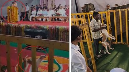 MP News: सीएम के कार्यक्रम में घुस आया स्ट्रीट डॉग, मंच से शिवराज का भाषण चलता रहा, नीचे भौंकता रहा कुत्ता Chhatarpur: Street dog entered CM's program, Shivraj's speech continued from the stage, dog kept barking below