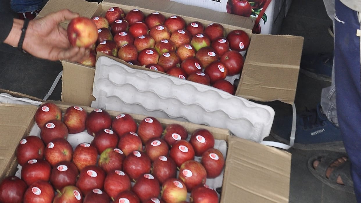 Apple season did not catch pace due to disaster, 600 trucks standing in Kullu