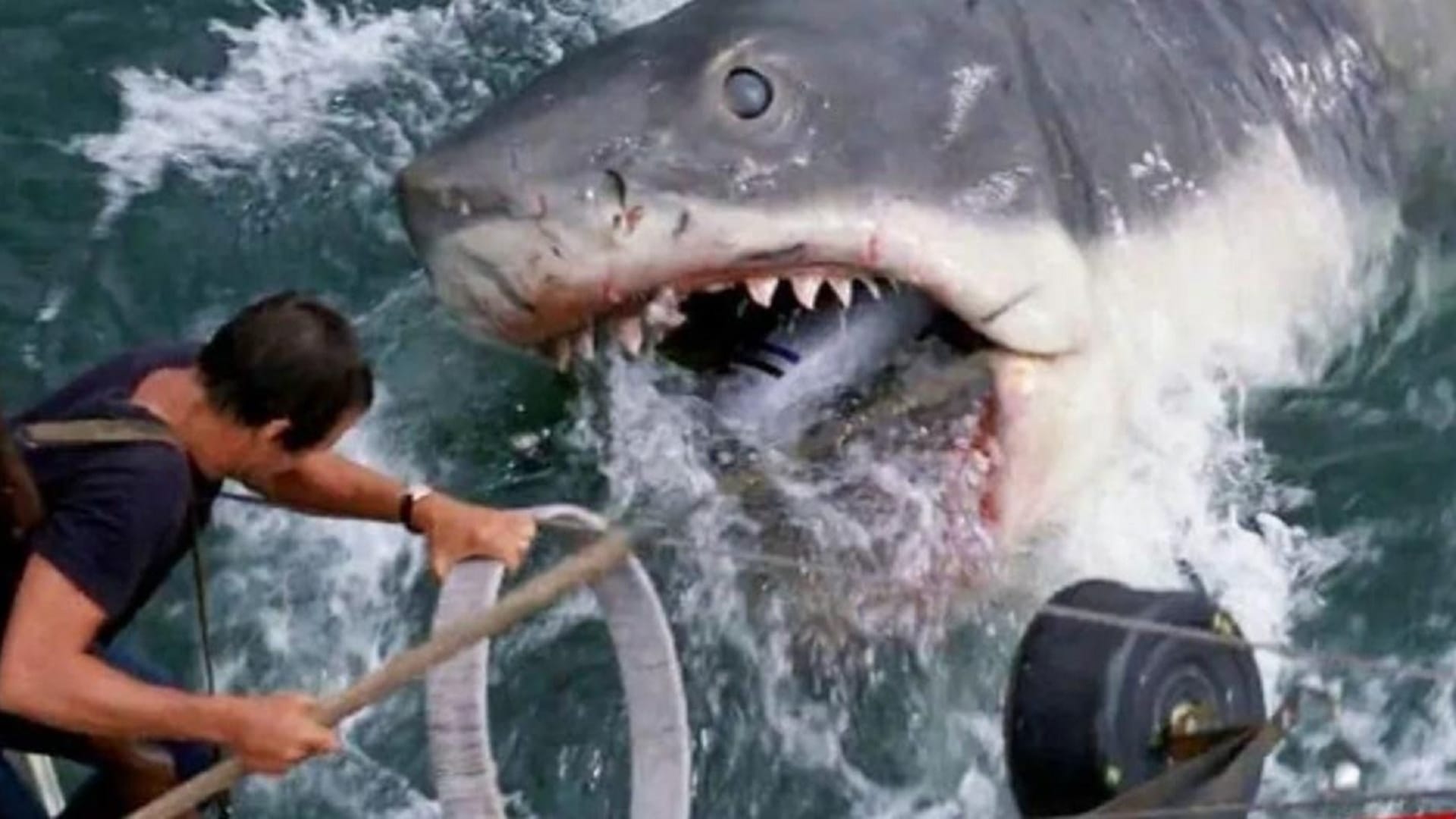 Meg 2 The Trench These 10 Hollywood films made on sharks Spielberg started with jaws last shark Deep Blue sea