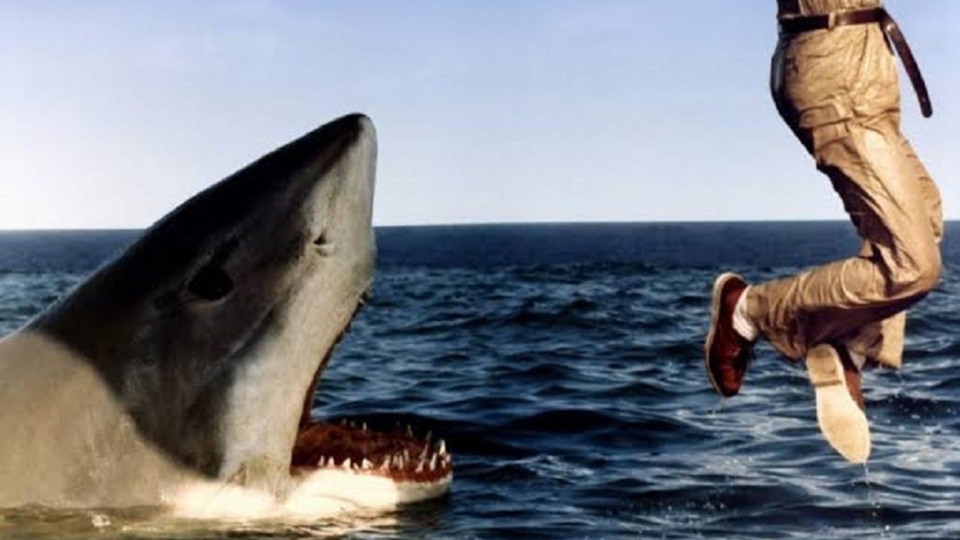 Meg 2 The Trench These 10 Hollywood films made on sharks Spielberg started with jaws last shark Deep Blue sea