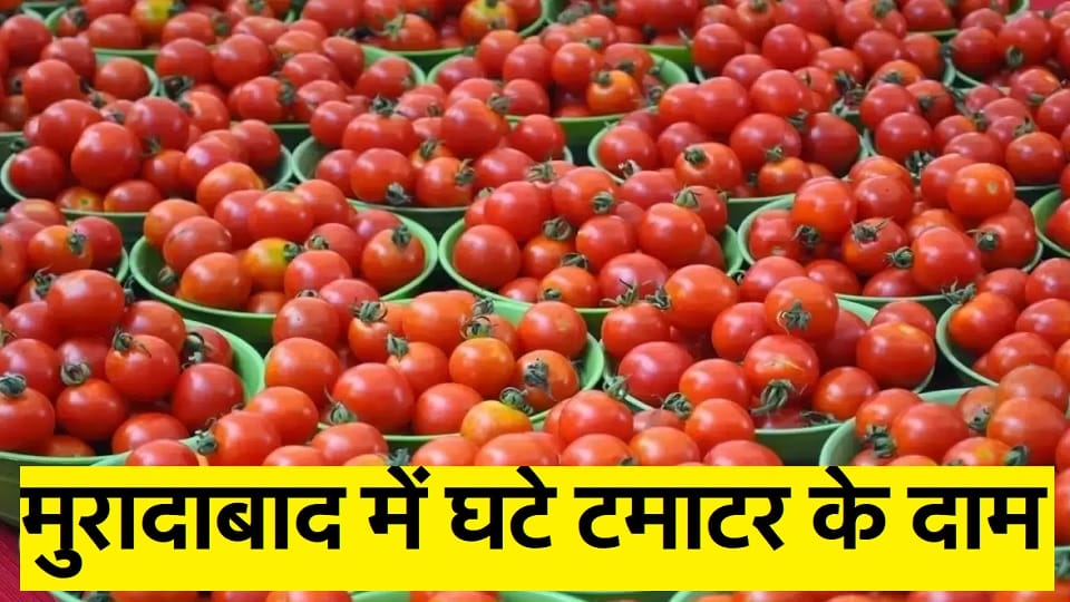 Tomatoes started reaching Moradabad from Nashik, sold in the markets from 120 to 140 rupees