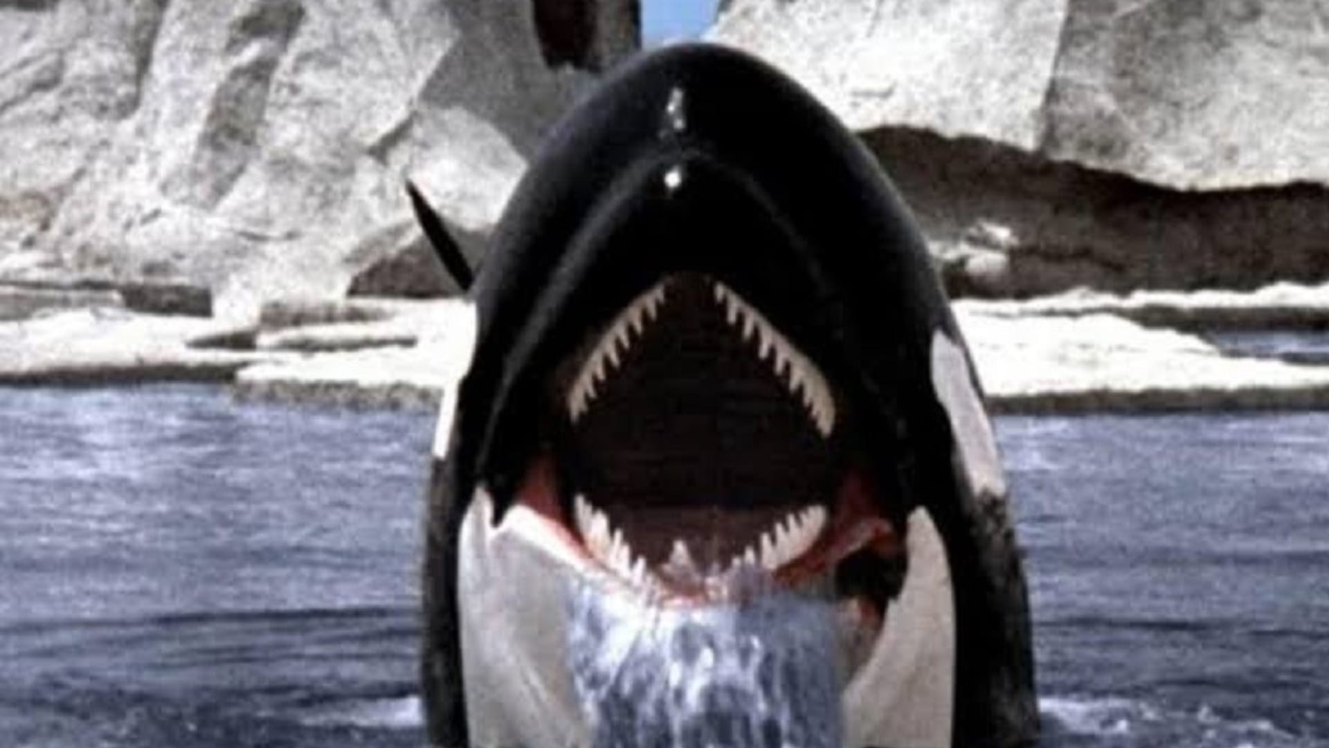 Meg 2 The Trench These 10 Hollywood films made on sharks Spielberg started with jaws last shark Deep Blue sea