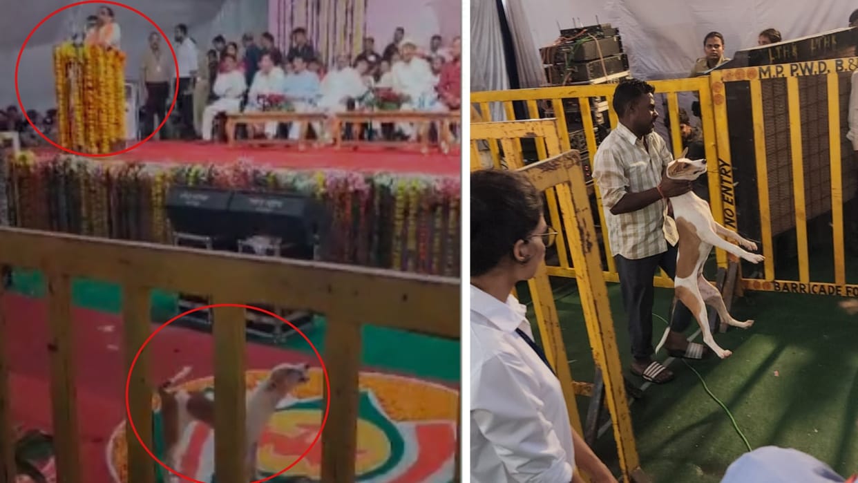 Chhatarpur: Street dog entered CM's program, Shivraj's speech continued from the stage, dog kept barking below