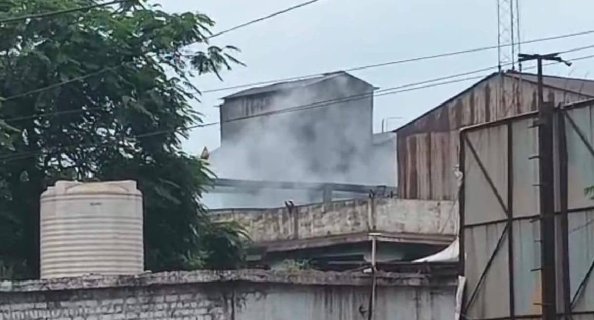 रायपुर पावर एंड स्टील प्लांट