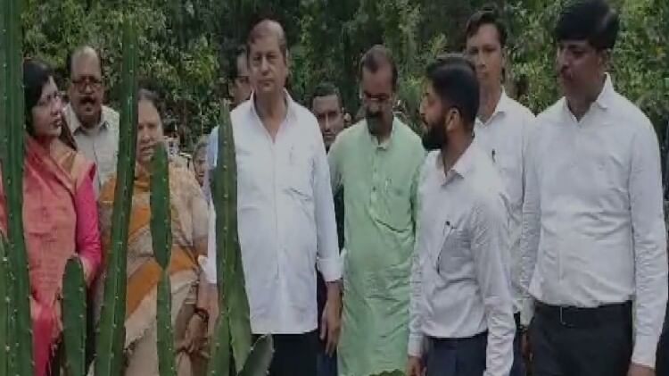 बालोद का पहला दौरा : प्रशासन की समीक्षा कर संतुष्ट हुए मंत्री मोहम्मद अकबर, पर्यावरण पार्क का किया शुभारंभ