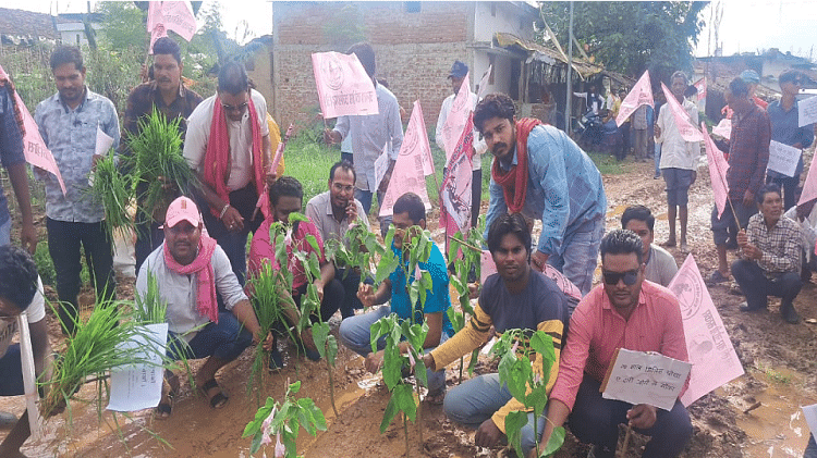 जोगी कांग्रेस का प्रदर्शन: कवर्धा में खराब सड़क पर बेशर्म पौधे लगाकर किया चक्का जाम, ये थी प्रमुख मांग