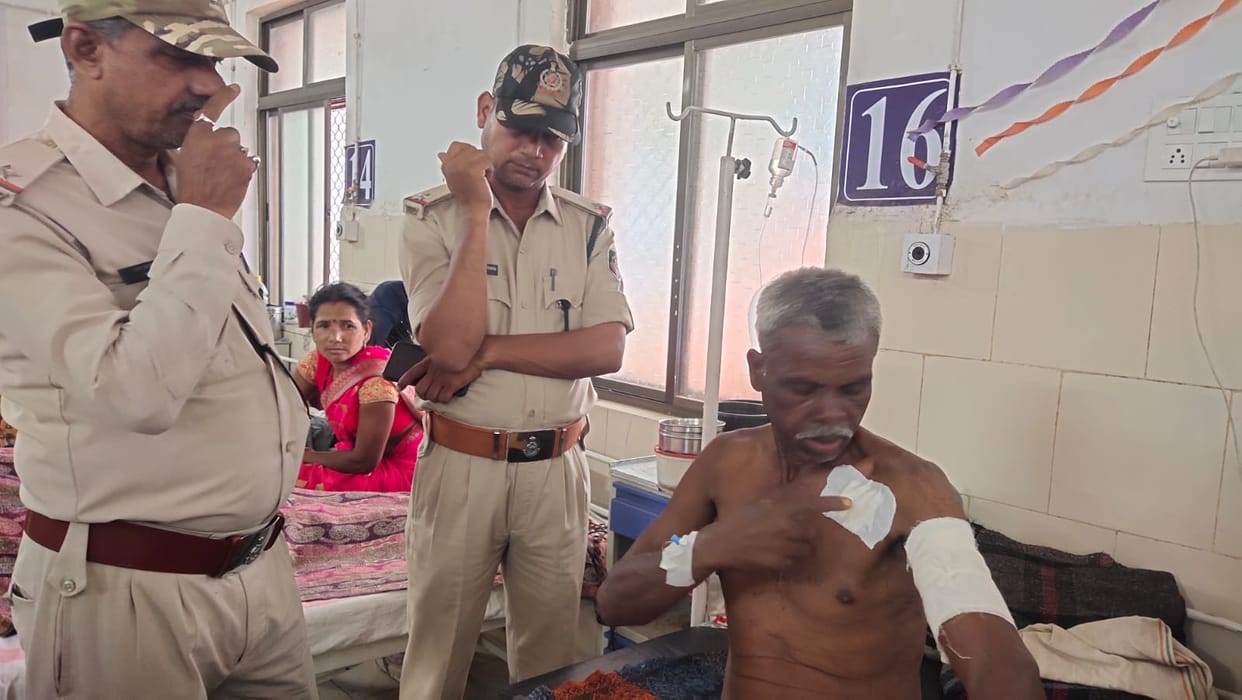 MP News: Tiger attacked an old man who went to graze cattle, fought with a stick to save his life