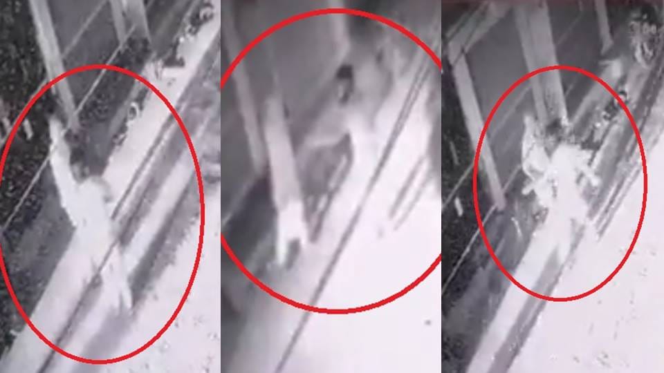 Three elderly people attacked with knife in a single day in Delhi one dead and two others injured