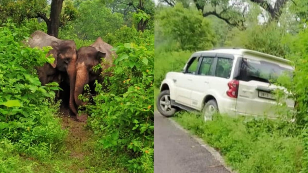 Kotdwar Elephant suddenly threatened on the road ran behind the vehicles people on morning walk ran away