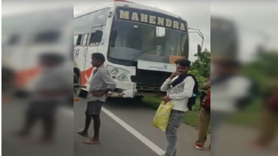 Bus trampled cattle herd on NH-53 17 animals died in Mahasamund