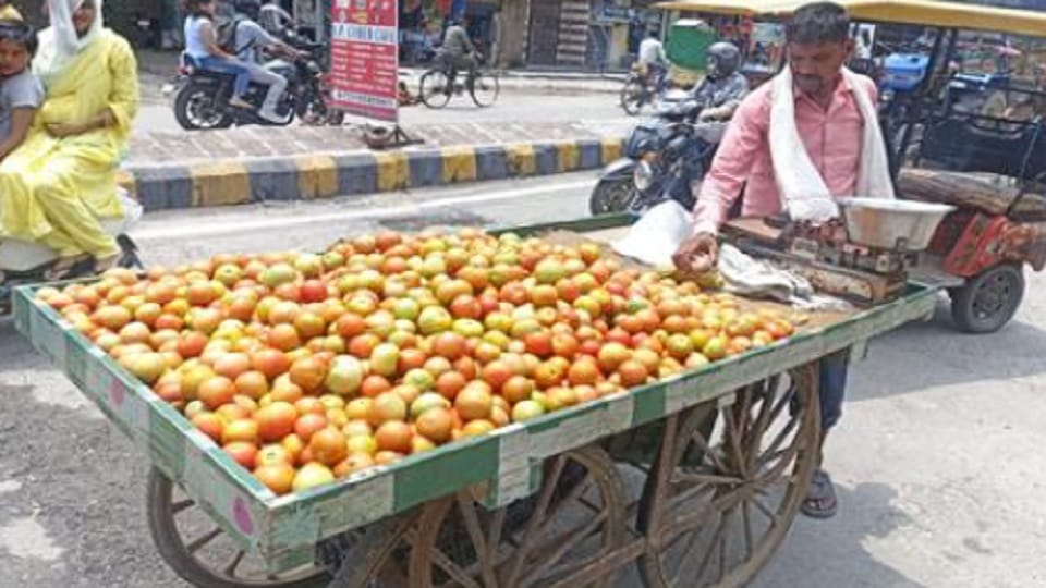 Tomato being sold up Rs 200 kg many places Moradabad
