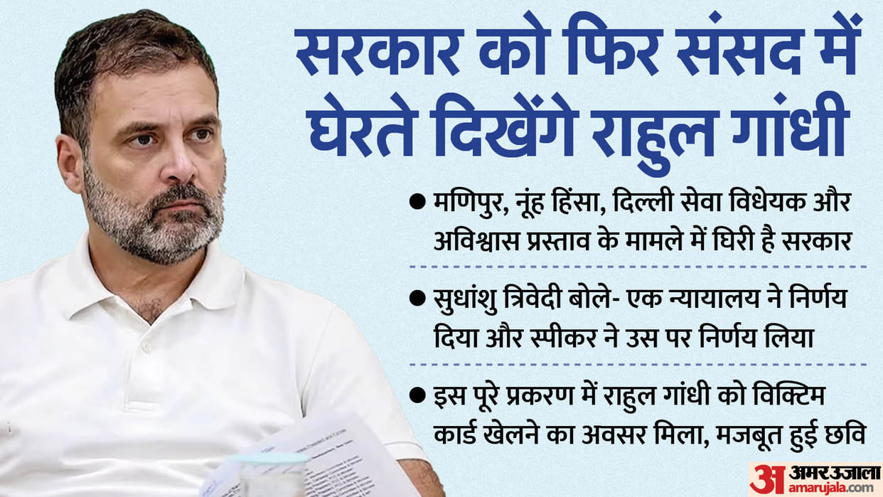 What did the BJP lose and gain from Rahul Gandhi Parliament membership issue?