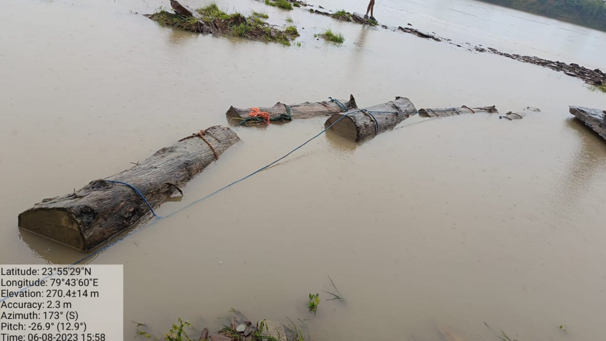 Damoh News: of teak Smugglers were carrying wood by flowing in the river, forest department caught