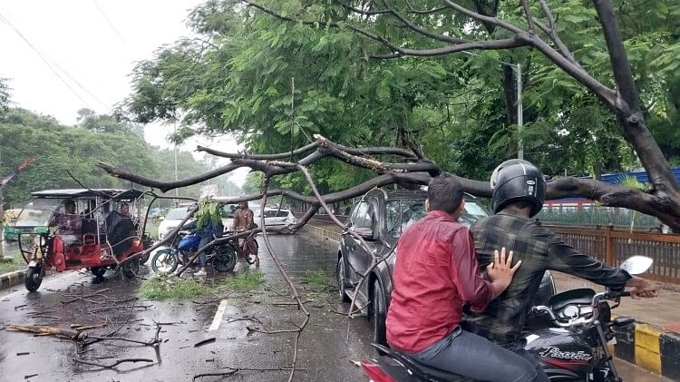Bihar Weather : बिहार के 25 जिलों में बारिश का येलो अलर्ट, कई जगह वज्रपात का खतरा; पटना में कार पर गिरा पेड़