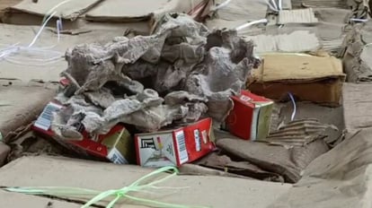 Large consignment of illegal liquor recovered from egg laden vehicle in Darbhanga, smuggler absconded