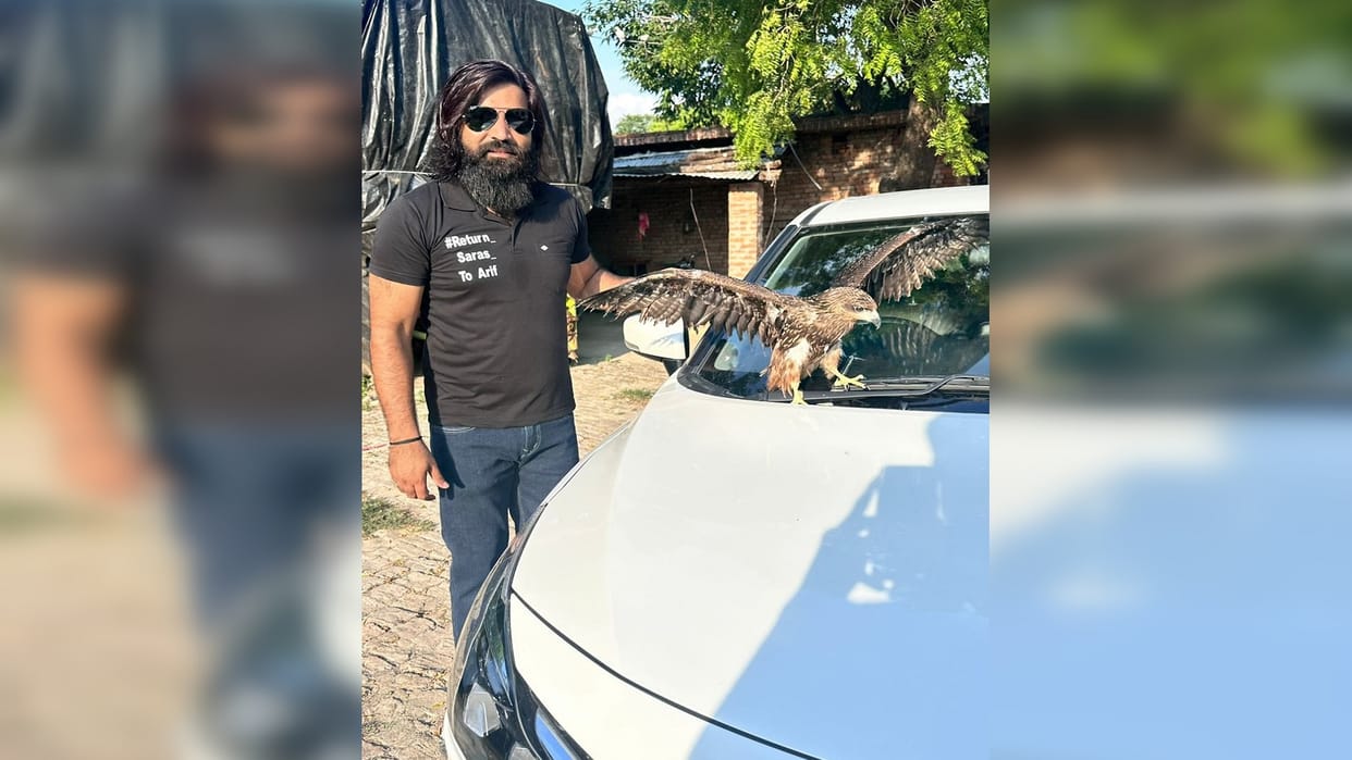 UP's Arif befriends the eagle