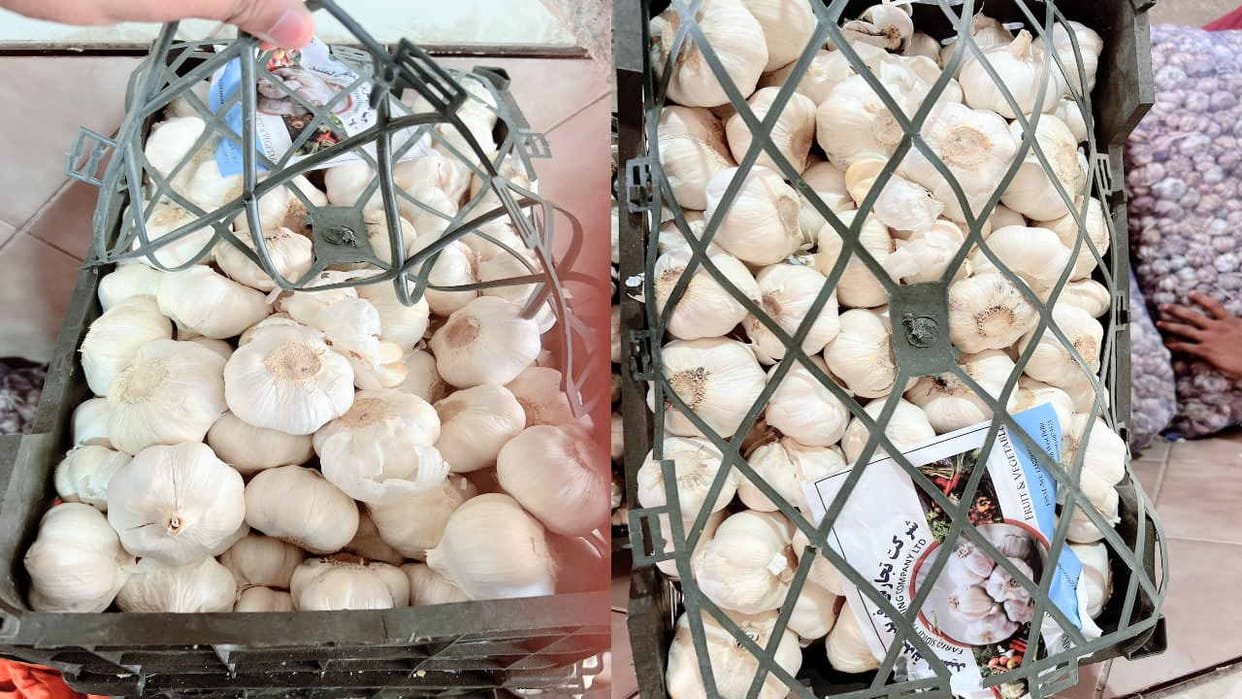 Entry of Iranian garlic in Delhi market, giving competition to Himachal