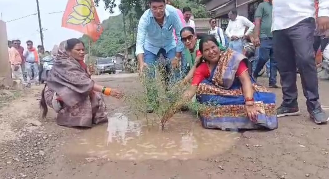 BJP workers demonstrated by planting saplings in dilapidated road pits in Rajnanjgaon