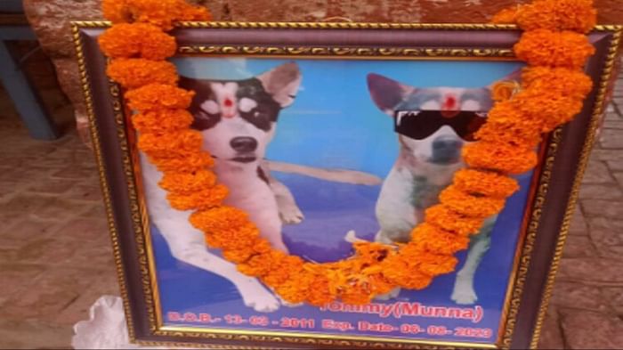 अनोखी तस्वीरें: कुत्ते की तेरहवीं पर हवन का आयोजन, दावत खाकर बोले ग्रामीण, बहुत वफादार था मुन्ना Baghpat: Thirteenth of dog was celebrated in Bijraul village after peace sacrifice