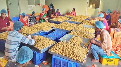 Ujjain: In 40 days, laddoos worth more than eight crores were offered to Mahakal.