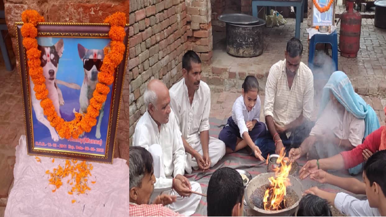 Baghpat: Thirteenth of dog was celebrated in Bijraul village after peace sacrifice