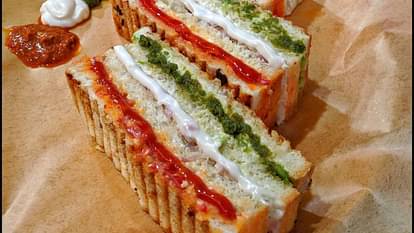 Easy Lunch Recipe many types of sandwich how to make sandwich for lunch