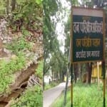 वन परिक्षेत्र पसान में धंसी जमीन