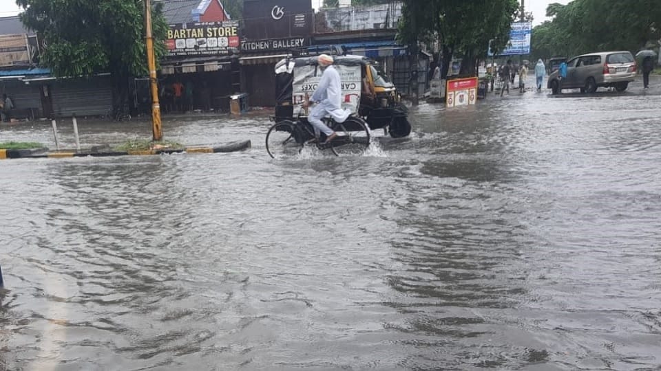 Haryana: Season record breaking rain in Jagadhri; 215 mm in seven hours, relief from humid heat
