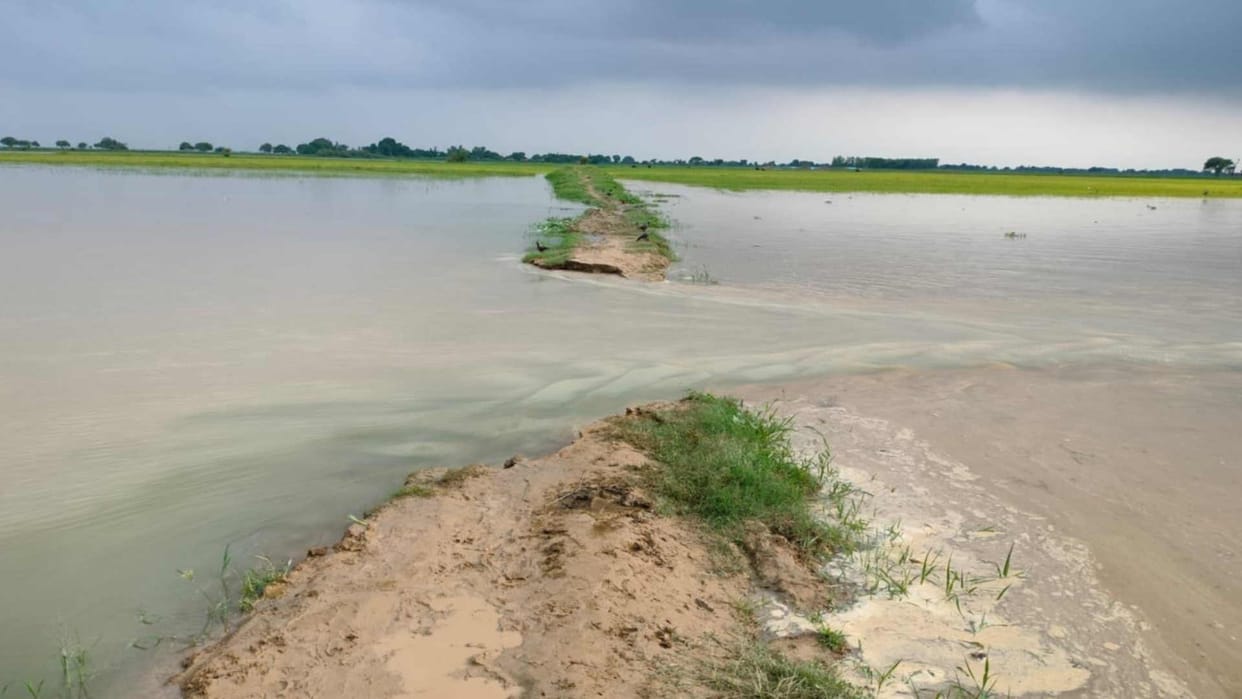Saryu river overflowed in Barhalganj in gorakhpur
