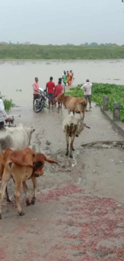 Ghaghra river flood Ghaghra crossed the red mark in Badarhuna, water on the roads, difficulty in traffic