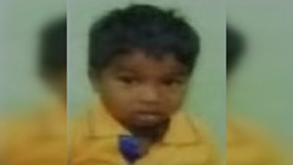 Five year old child dies in bee attack